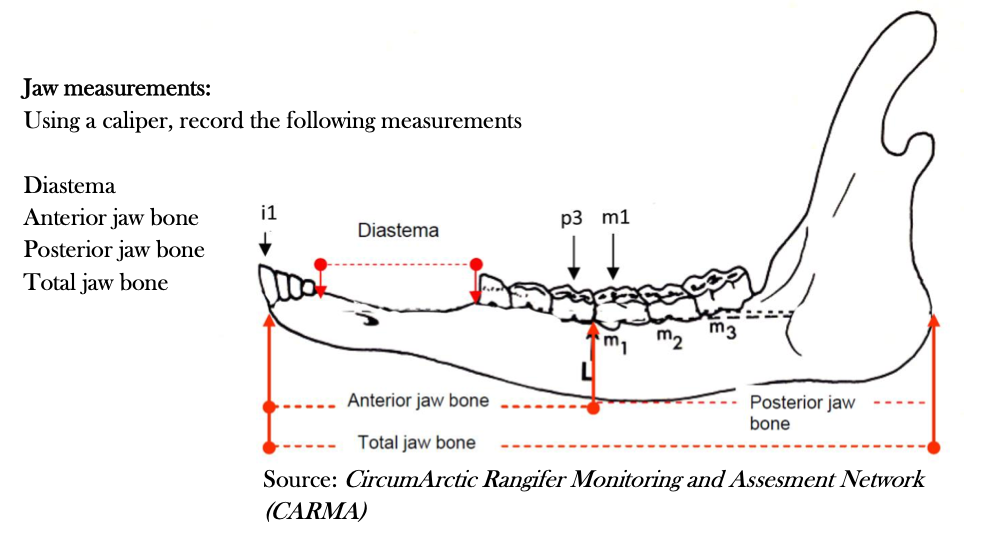 Muksox Exam 7