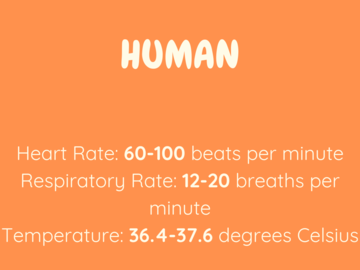 human