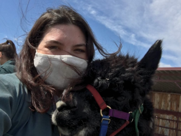 Alpaca