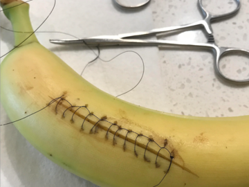 Suture a banana