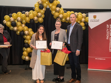 UCVM Awards' Night Photo Gallery