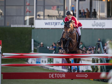 Calgary International Equine Symposium 2023