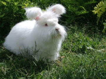 Image Credit to Thee Art in Me