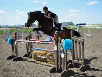 Kadence excelled at a challenge. The sole horse to approach without hesitation and clear a jump that contained flapping objects making noise in the wind. An easy 1.20m for him.