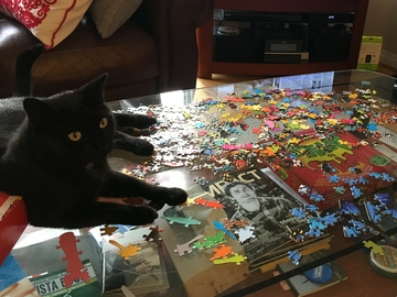 Shadow at puzzle night