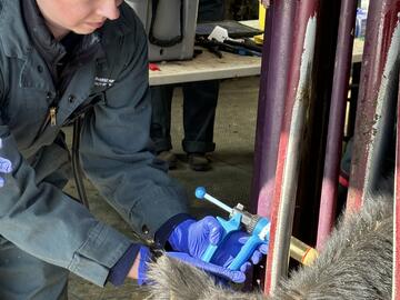 Mar 2025 - Class of 2028 Vaccine and Bovine Handling Labs at W.A. Ranches.