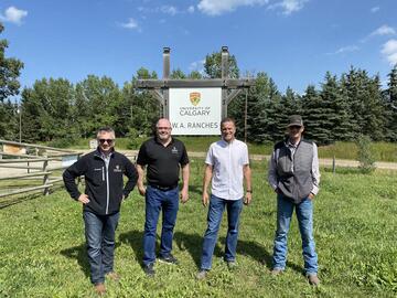 Aug 9, 2024 - The Honourable Pete Guthrie, former Minister of Infrastructure, visited W.A. Ranches to learn more about UCalgary’s research and education in agriculture and veterinary medicine.