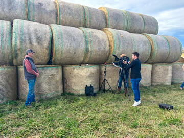 Oct 1, 2024 - Filming of cattle sustainability practices with Calgary Stampede for an educational video funded through Mobilizing Alberta. 
