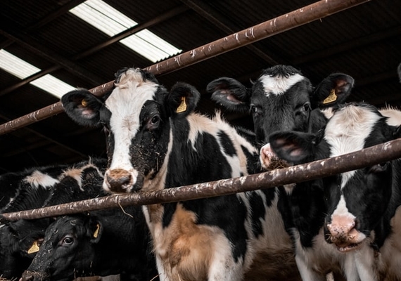Biosecurity