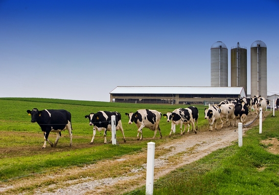 Biosecurity