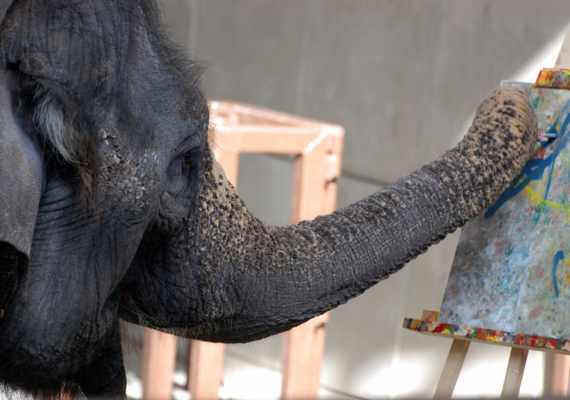 Elelphant Painting
