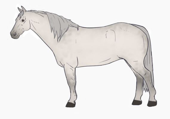Light Grey