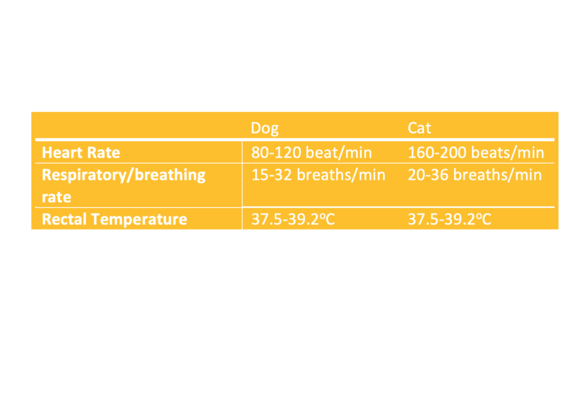 Canine and Feline Reference Ranges
