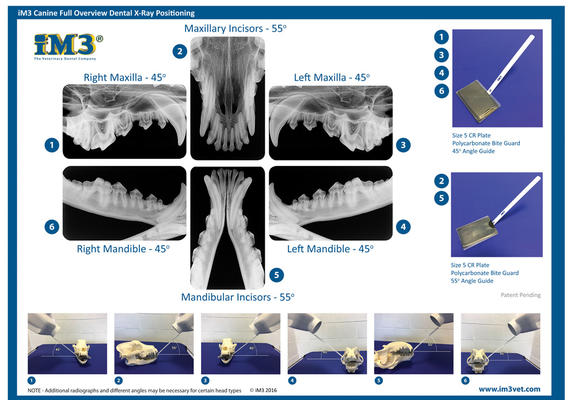 Dental X-Rays