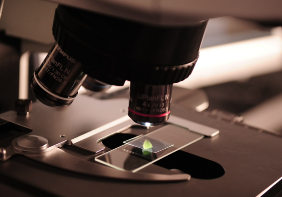 Cytology 