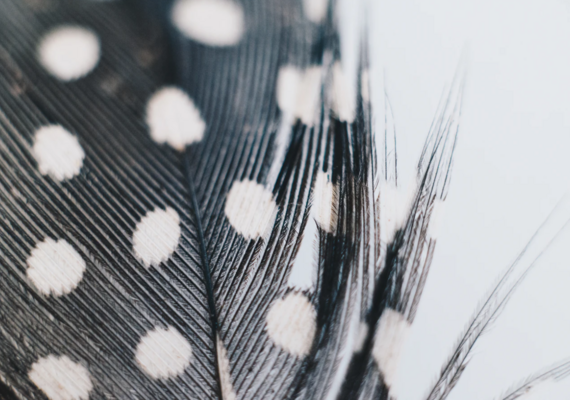 Light as a feather
