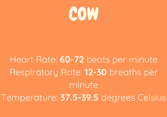 Bovine Reference Ranges