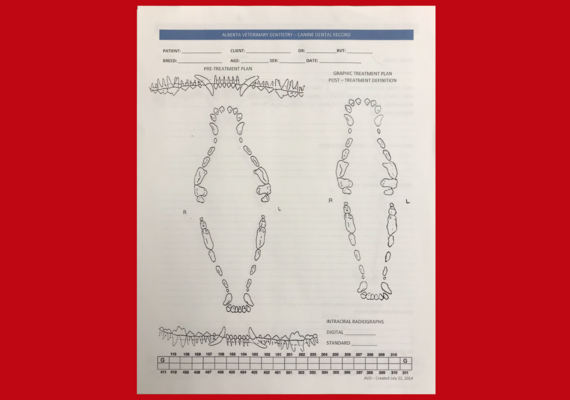 Canine Dental Charts
