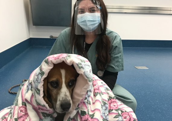 Dental Procedure Recovery 