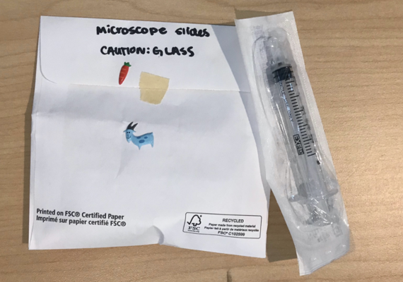 Blood Smear Materials