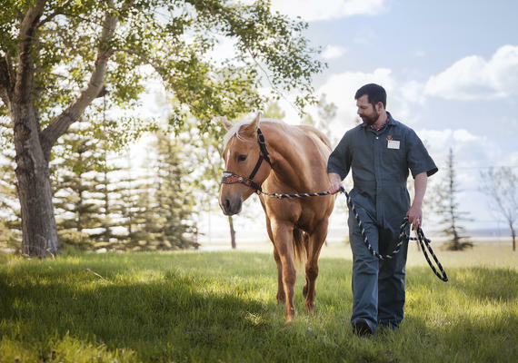 man with horse