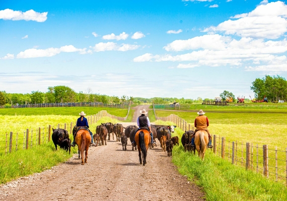 How to donate a cattle ranch — and what to do with it when you get it
