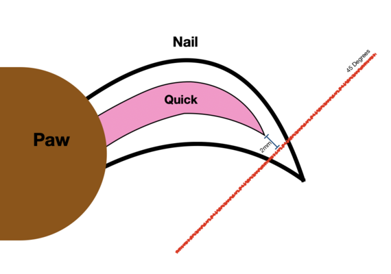 Nail cut diagram