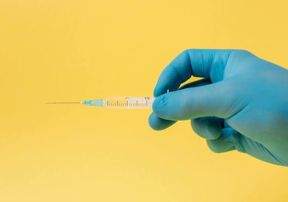 Needle