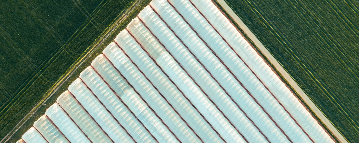 aerial view of greenhouse