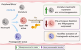 Abstract - neutrophil response to covid and dexamethasone