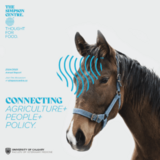 Cover of 2024-2025 annual report