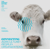 Cover image of 2021-22 annual report