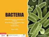 Bacteria