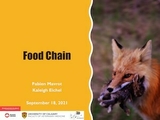 Food Chain