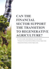 Cover page of final report