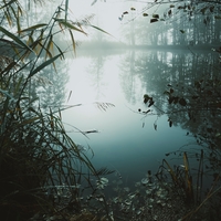 Habitat (En ûbi ze)