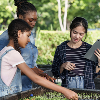 Three people looking at plants being cultivated