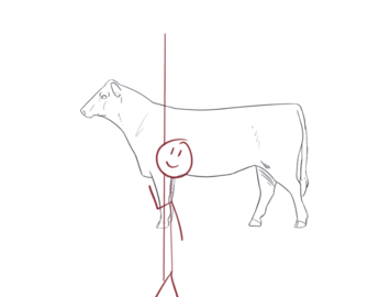 Point of Balance
