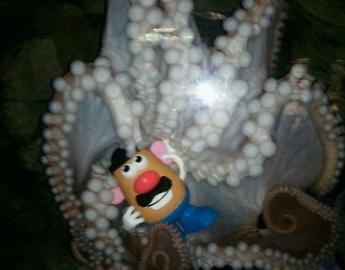 Octopus Playing with Mr. Potatohead