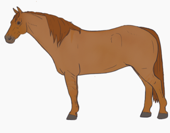 Red Dun