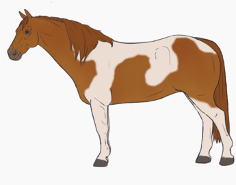 Tobiano