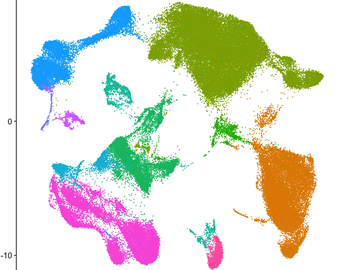 scRNAseq UMAP - COVID-19 PMBCs and BALF