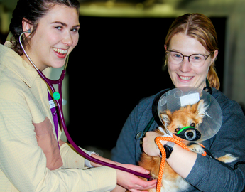 Stoney Nakoda Nation hosts 1st preventative vet clinic with UCVM partnership