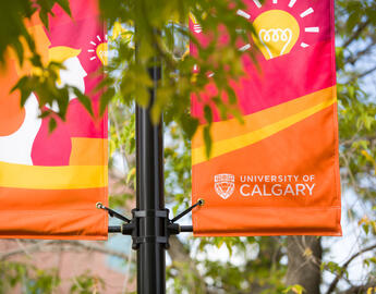 Ucalgary banners in trees