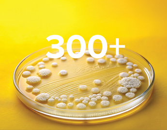 300+ active research projects 